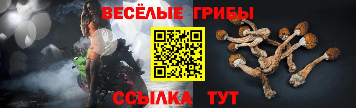 Псилоцибиновые грибы MAGIC MUSHROOMS Набережные Челны
